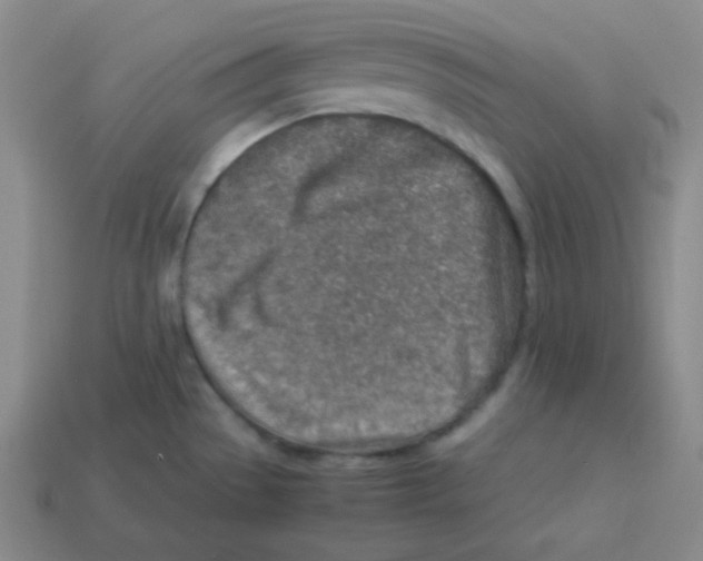 X0000113311529200910131057