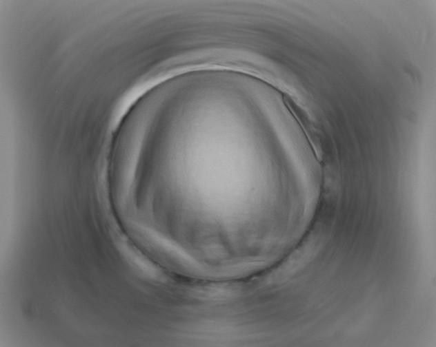 X0000113311530200910131057