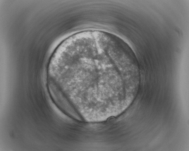 X0000113311531200910131057