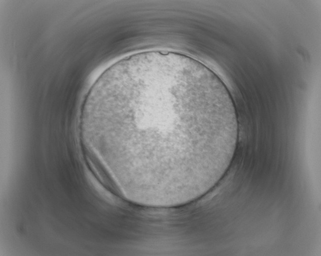 X0000113311532200910131057