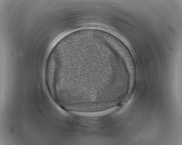 X0000113311533200910131057