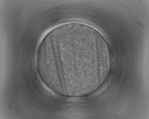 X0000113311535200910131057