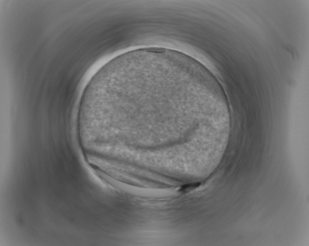 X0000113311536200910131057