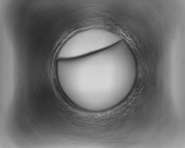 X0000113320002200909140956