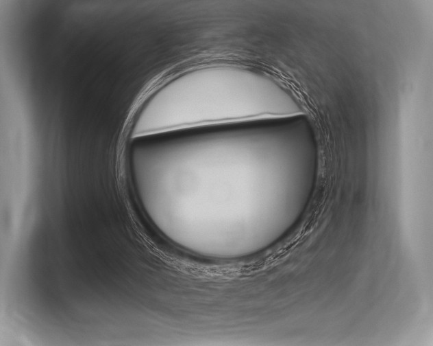 X0000113320004200909140956