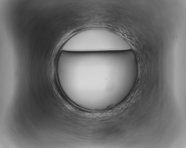 X0000113320005200909140956