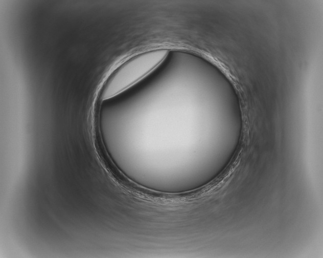 X0000113320008200909140956