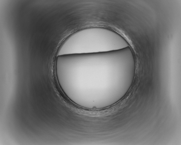 X0000113320010200909140956