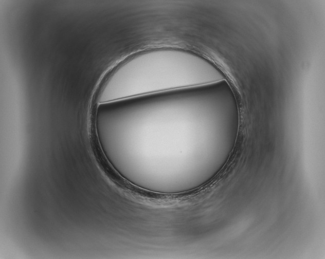 X0000113320012200909140956