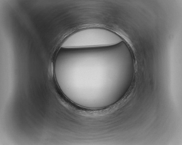 X0000113320013200909140956