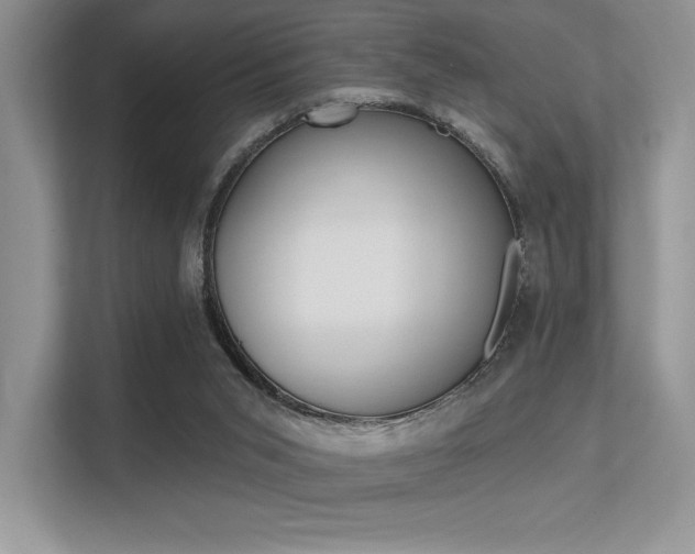 X0000113320015200909140956