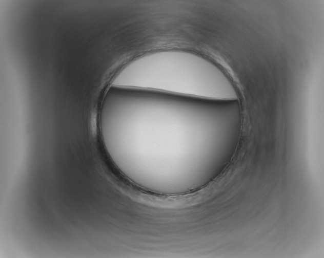 X0000113320019200909140956