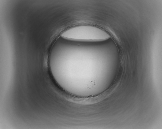 X0000113320023200909140956