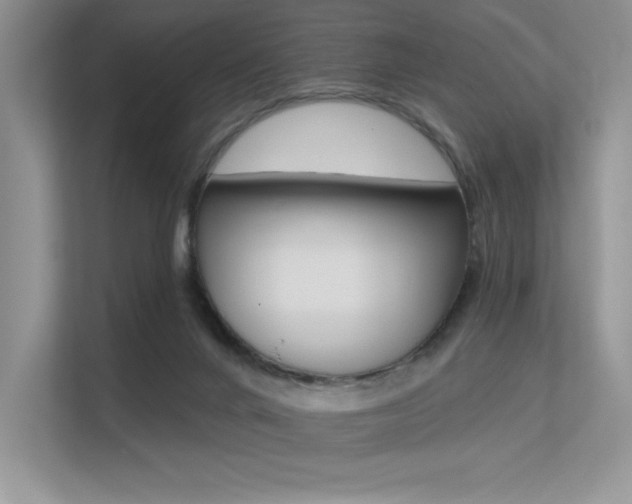 X0000113320024200909140956
