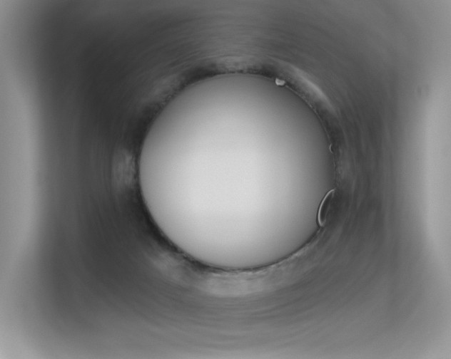 X0000113320025200909140956