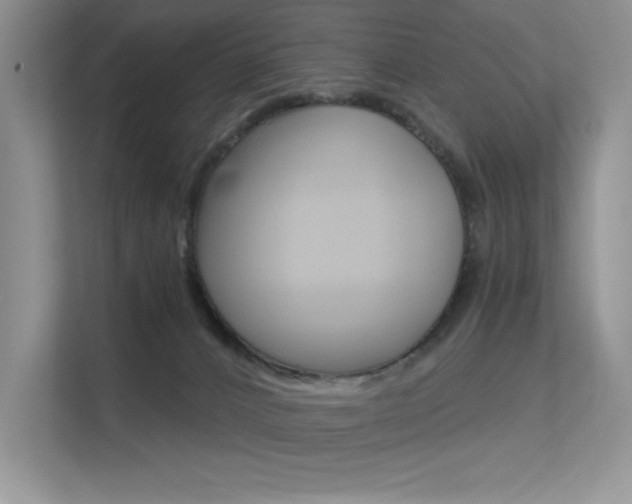 X0000113320032200909140956