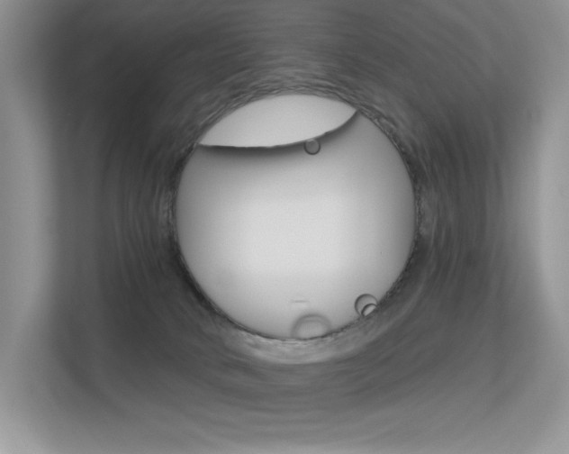 X0000113320034200909140956