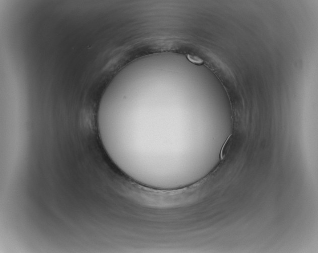 X0000113320035200909140956