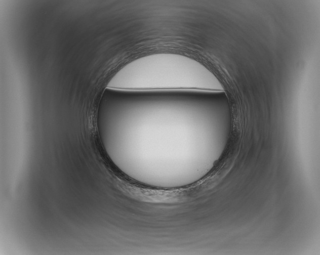 X0000113320044200909140956