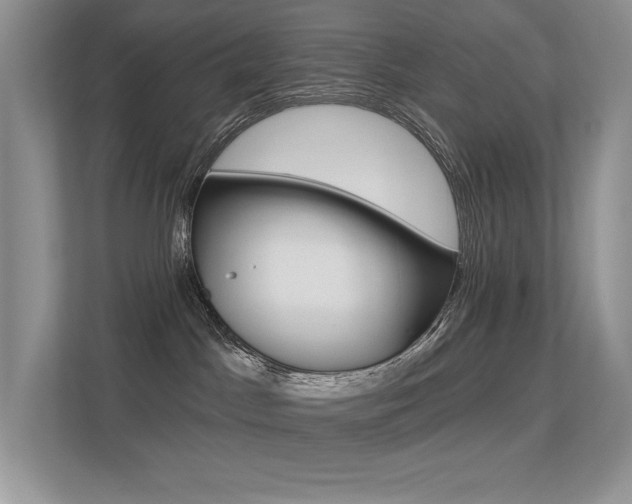 X0000113320045200909140956