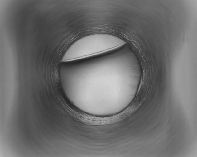 X0000113320048200909140956