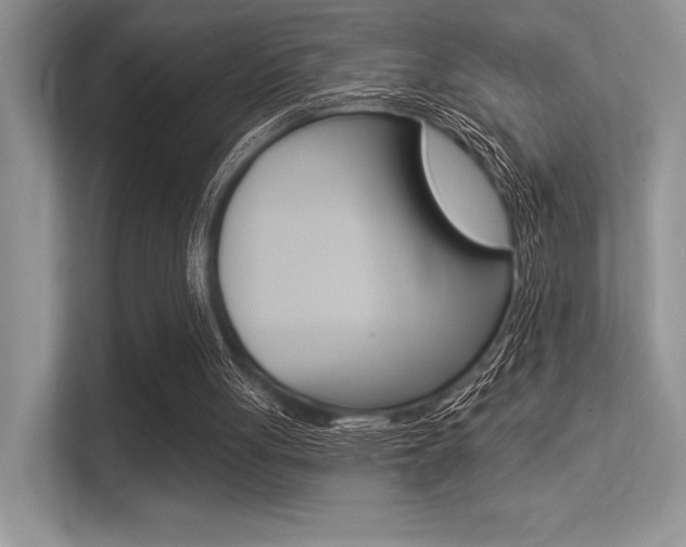 X0000113320051200909140955