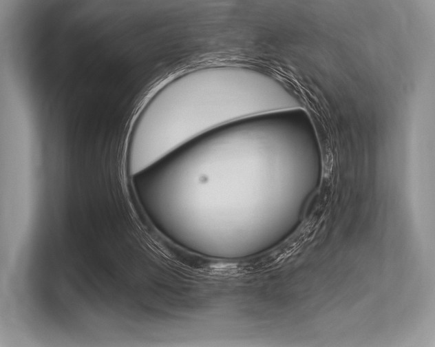 X0000113320052200909140955