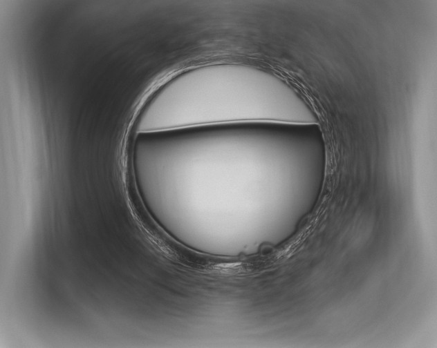 X0000113320054200909140955