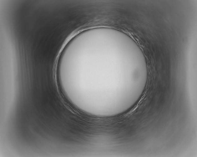 X0000113320056200909140955