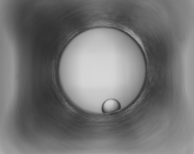 X0000113320057200909140955