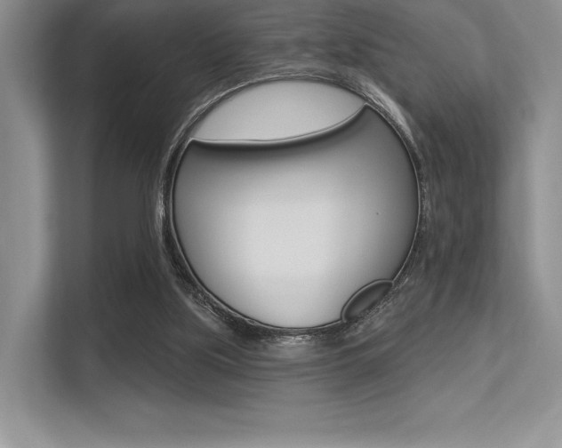 X0000113320059200909140955