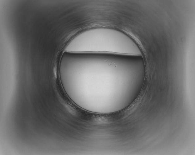 X0000113320062200909140955