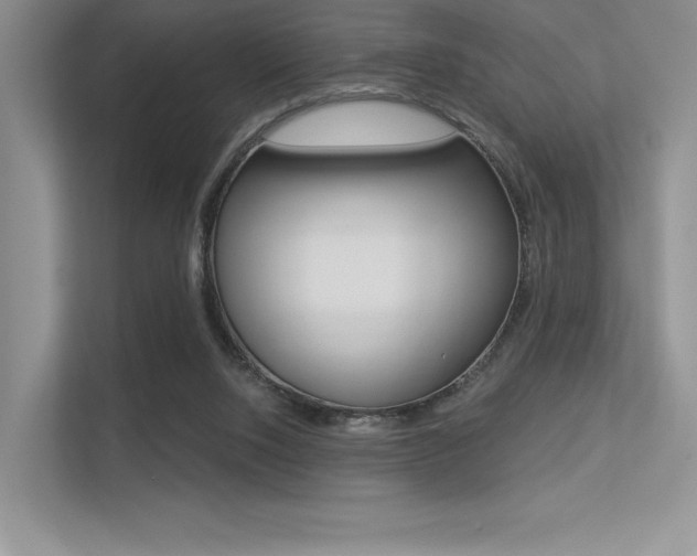 X0000113320064200909140955