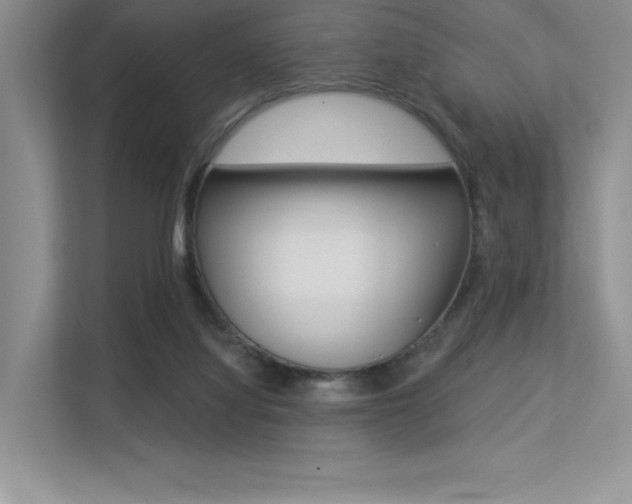 X0000113320068200909140955