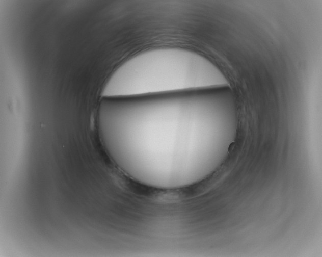 X0000113320075200909140955