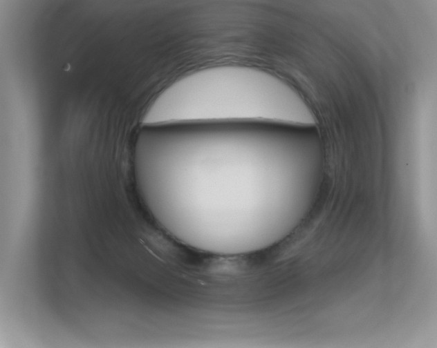 X0000113320077200909140955