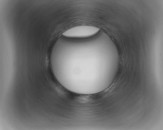 X0000113320086200909140955