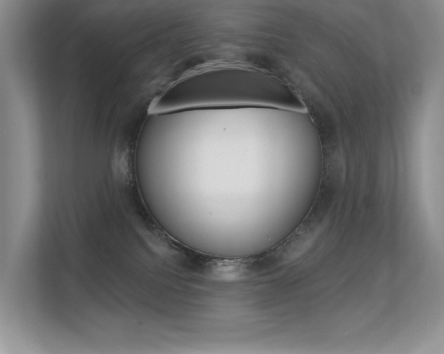 X0000113320088200909140955