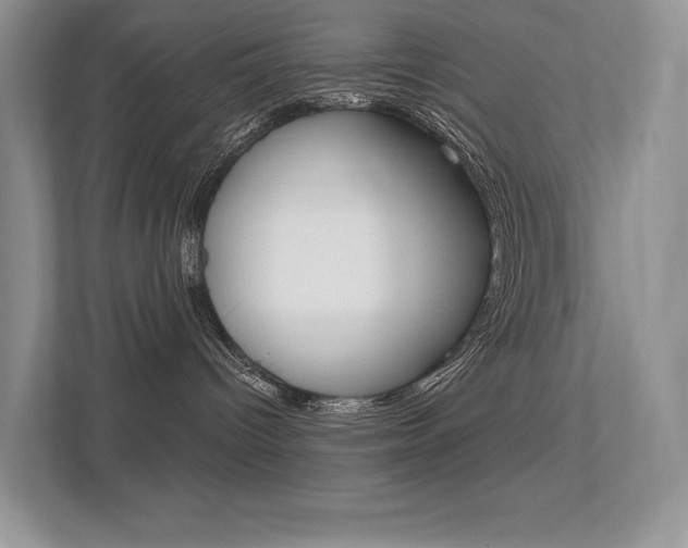 X0000113320096200909140956