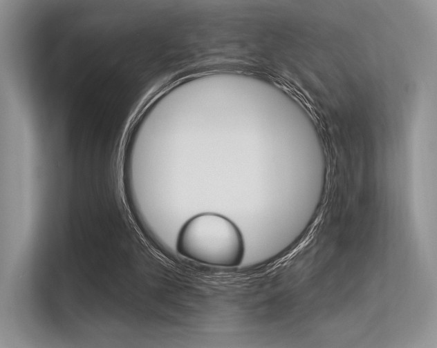 X0000113320101200909140955