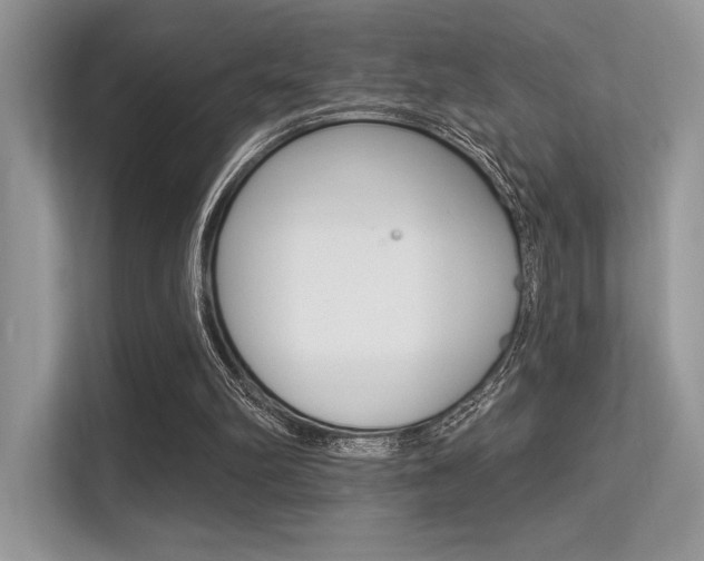 X0000113320102200909140955