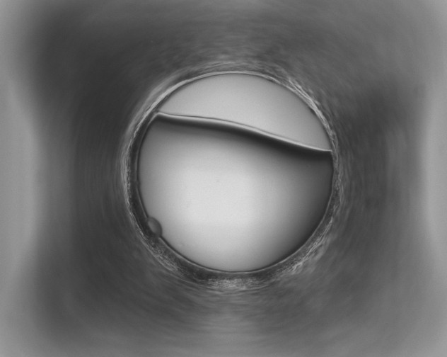 X0000113320103200909140955