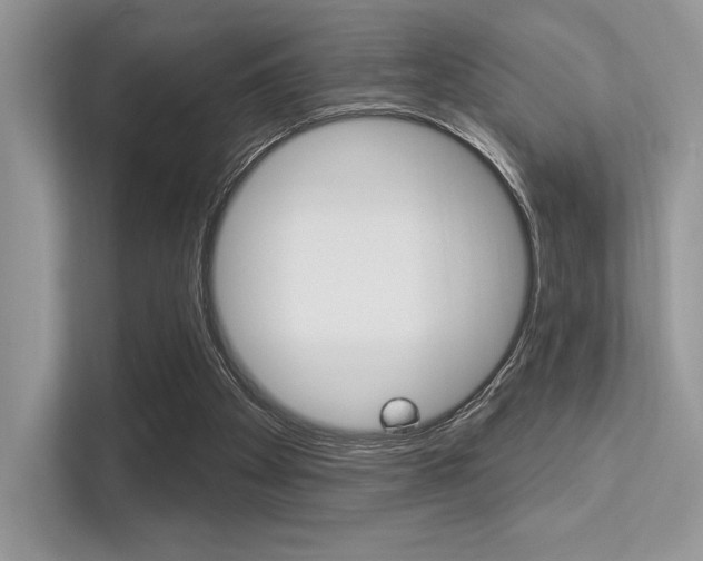 X0000113320105200909140955