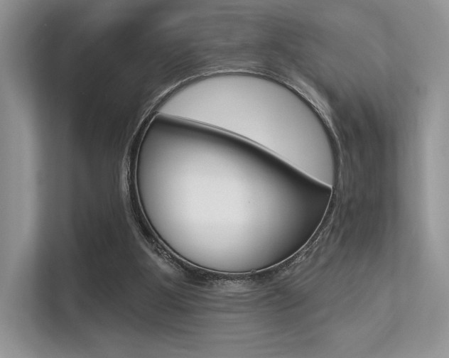 X0000113320107200909140955