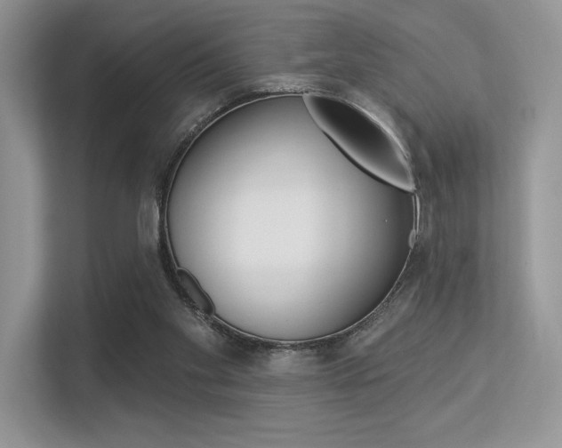 X0000113320109200909140955