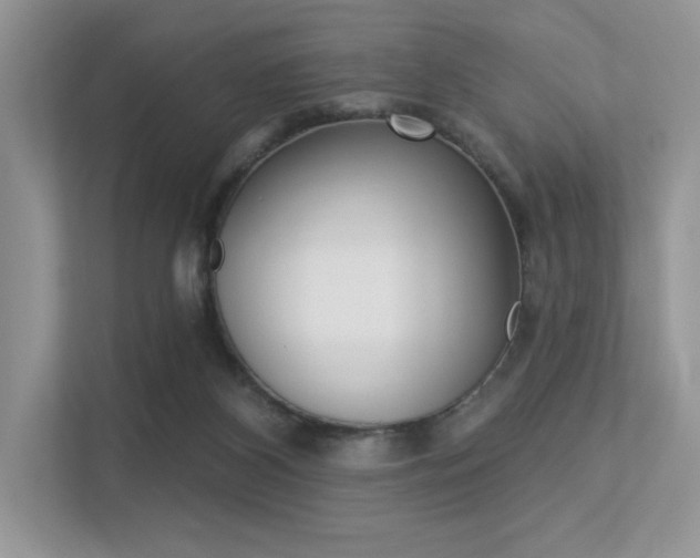 X0000113320116200909140955