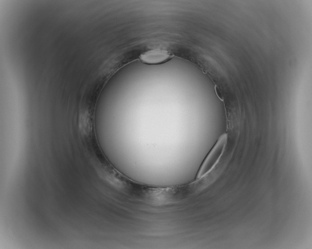 X0000113320136200909140954