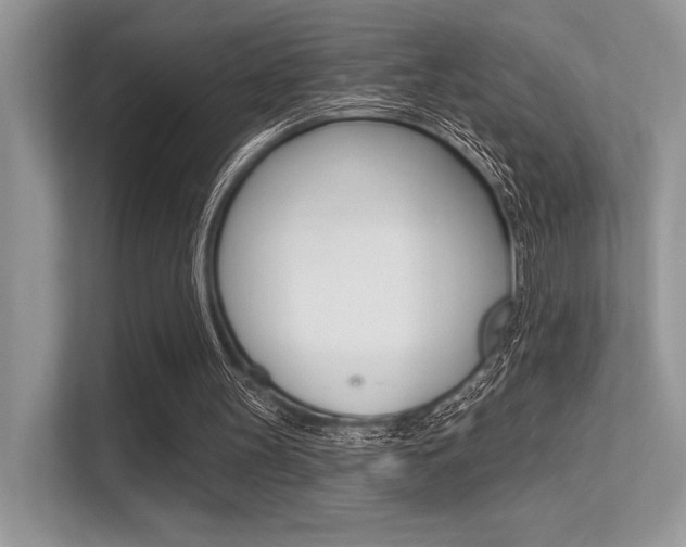 X0000113320147200909140954