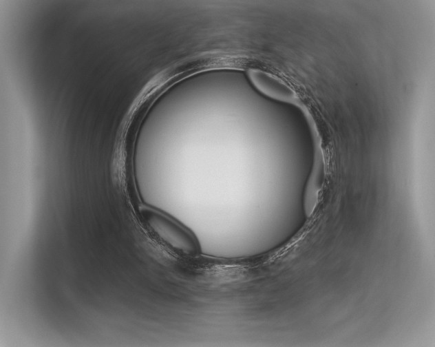 X0000113320150200909140954