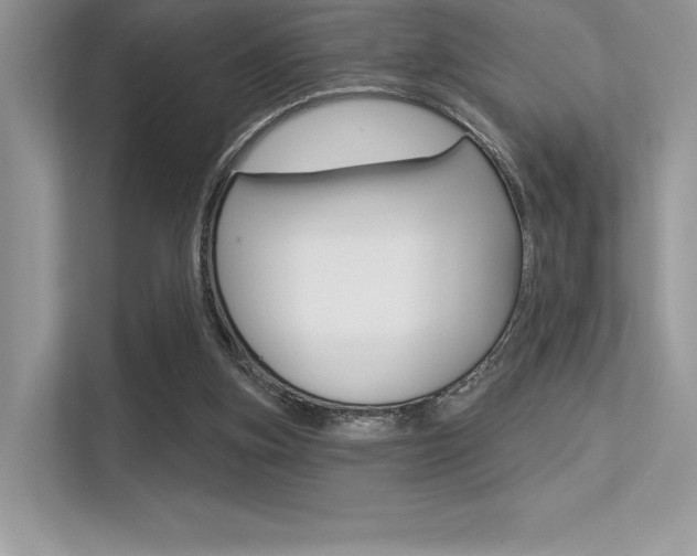 X0000113320155200909140954